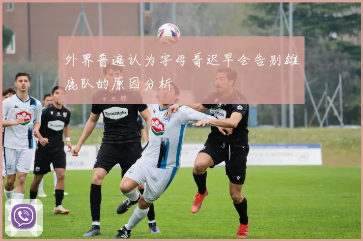 外界普遍认为字母哥迟早会告别雄鹿队的原因分析