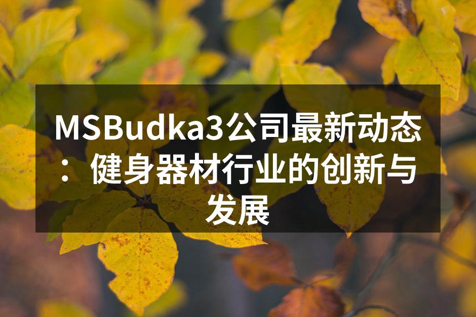 MSBudka3新款智能健身器材展示