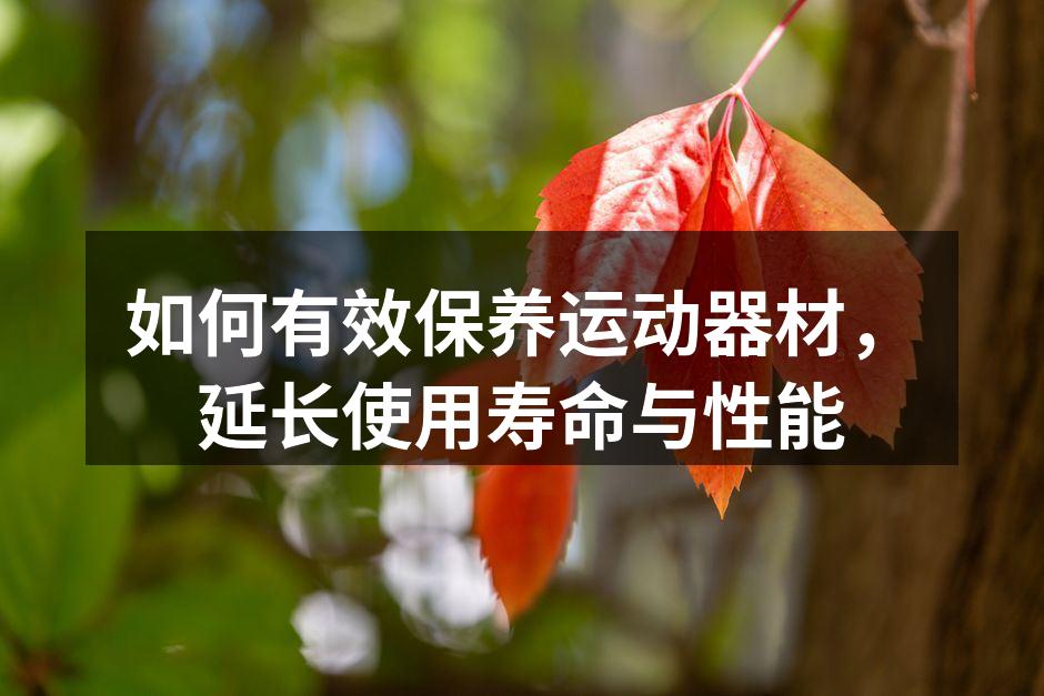 如何有效保养运动器材，延长使用寿命与性能