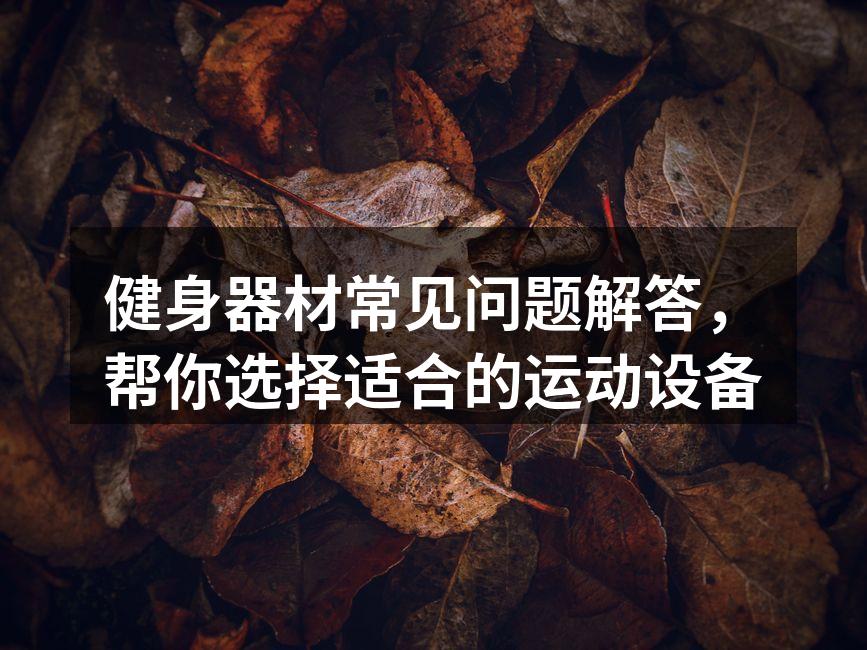 多样的健身器材选择