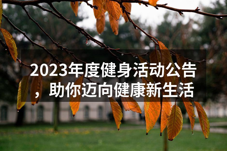 健身活动热烈进行中