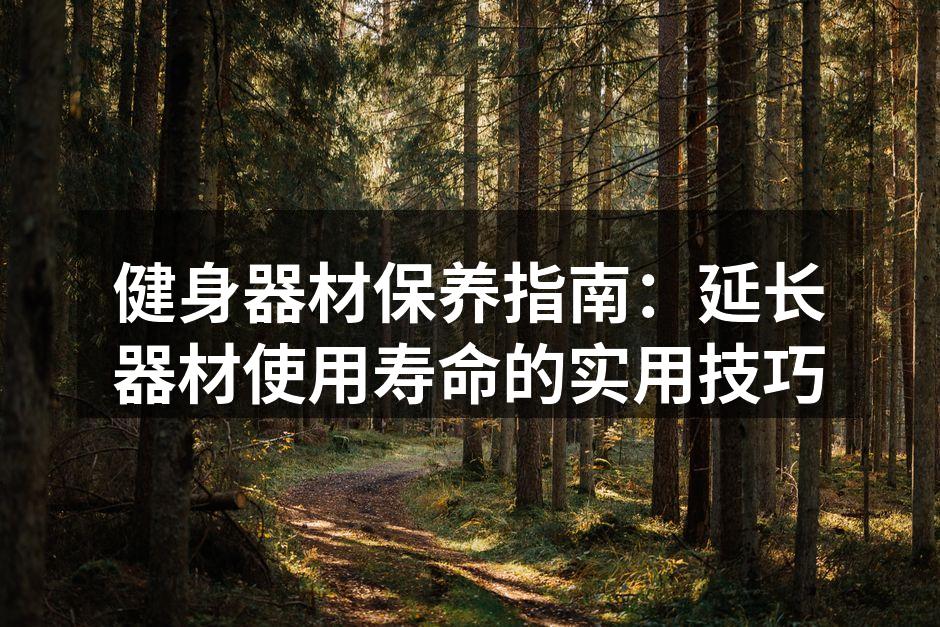 定期清洁健身器材确保安全使用