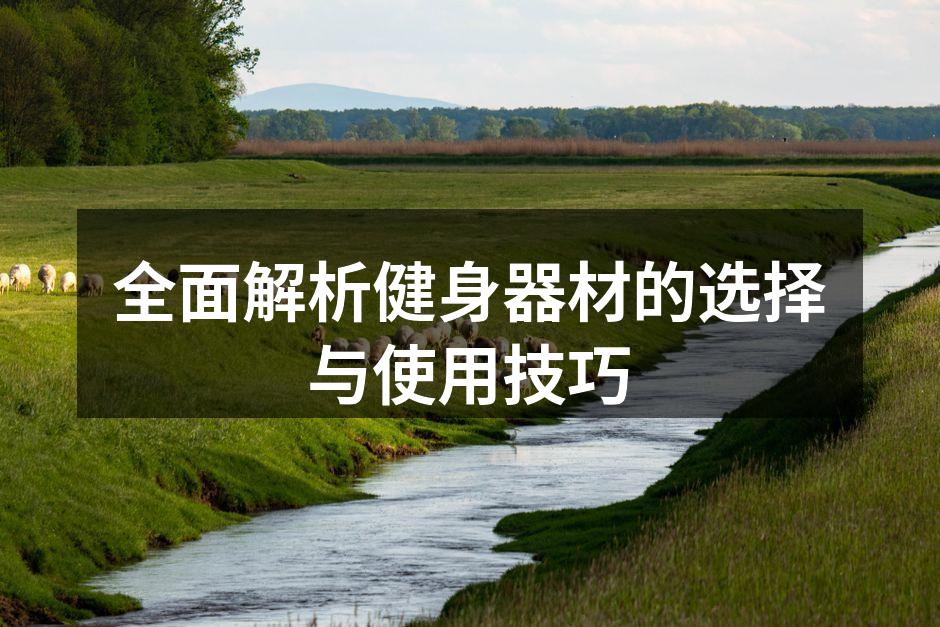 各种健身器材展示